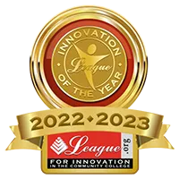 Innovation of the Year Award badge