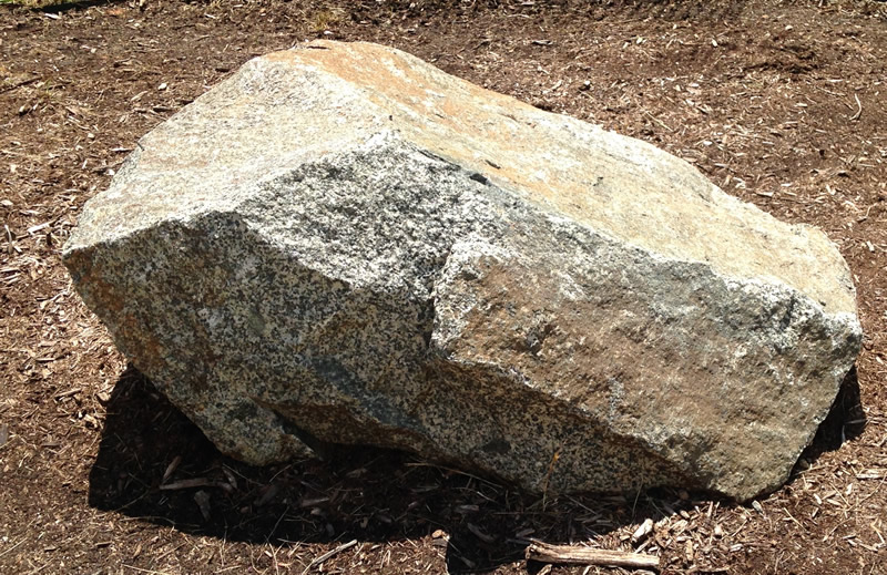 Figure 2: The diorite boulder at Southern Wake (Main) Campus.