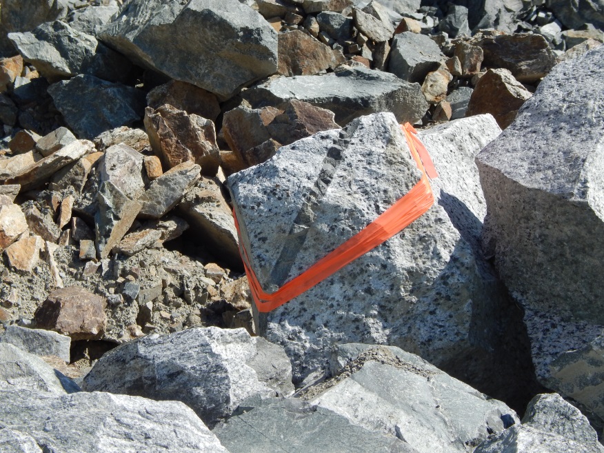 Figure 6: A boulder selected for the OGL and marked with orange tape.
