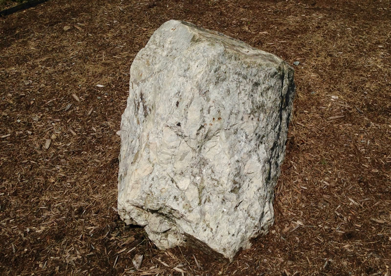 Figure 2: The granite pegmatite boulder at Southern Wake (Main) Campus.