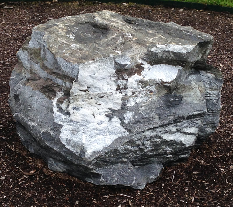 Figure 1: The marble boulder at Northern Wake Campus.