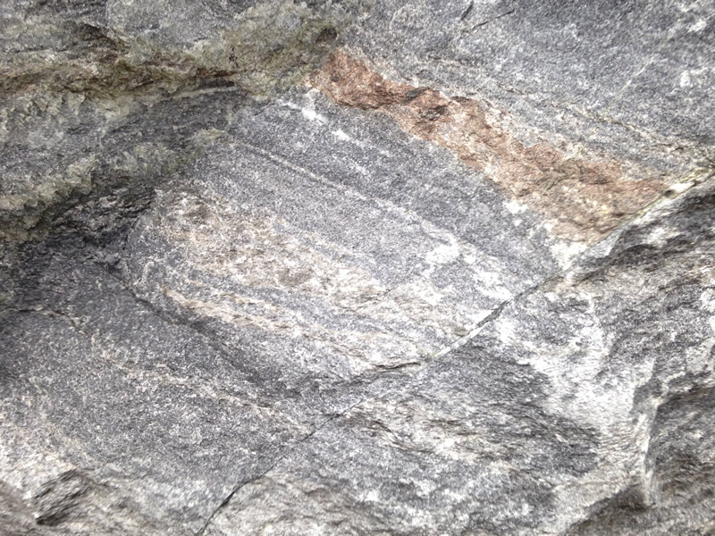 Figure 4: Another close-up of the marble, showing the variations in grain size present in the lighter gray areas of the rock