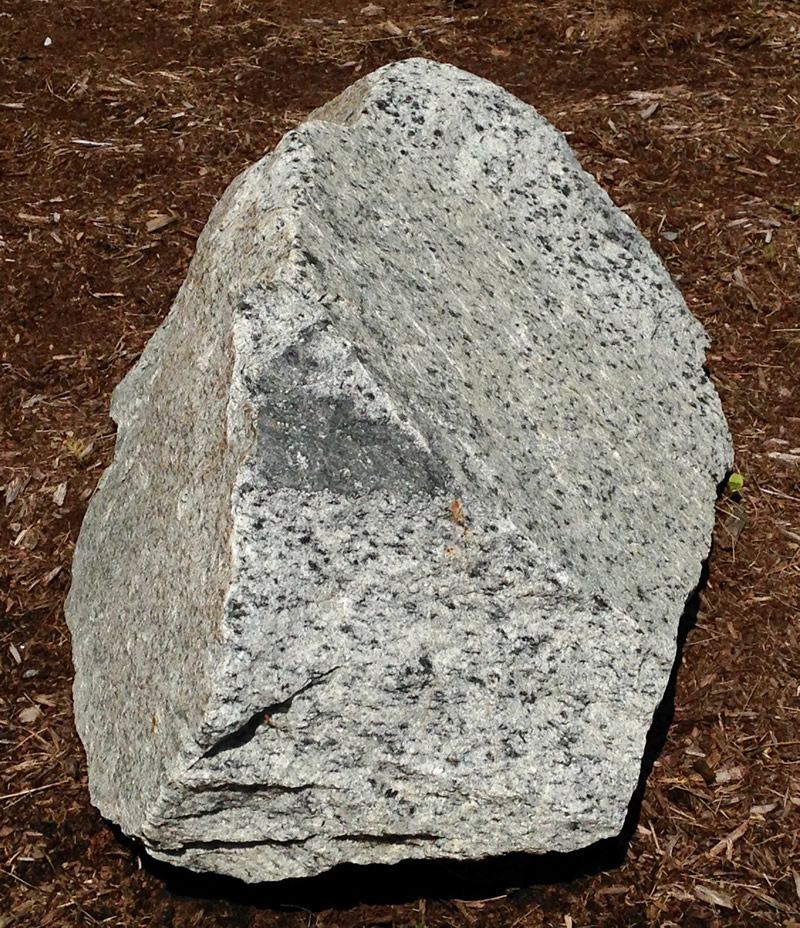 Figure 2: The monzonite boulder at Southern Wake Campus.