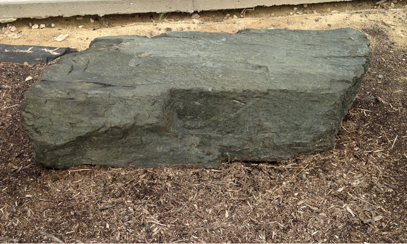 Figure 1: The diabase boulder at Northern Wake Campus.