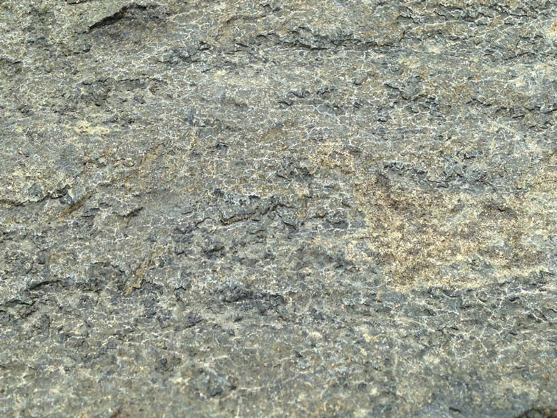 Figure 4: Another close-up of the surface of the diabase, showing the dark colors of the microscopic minerals.
