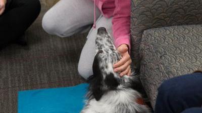 Wake Tech Offers Animal Therapy to Help Students Fight Stress