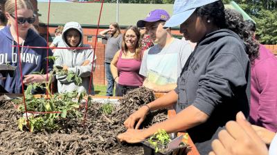 Wake Tech students are growing tomato plants in a vegetable garden on Southern Wake Campus.