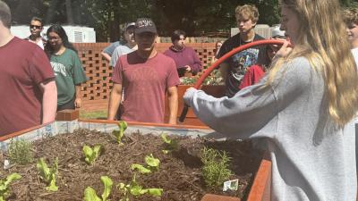 Wake Tech students are growing tomato plants in a vegetable garden on Southern Wake Campus.