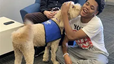 A therapy dog helps students get a break from studying.