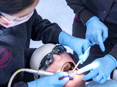 Dental Assisting Image